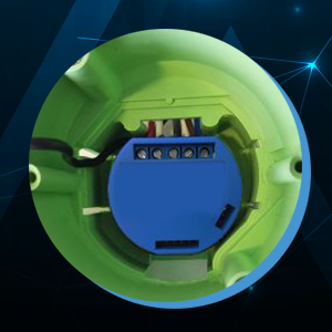 2 X Shelly 1 - Image 6